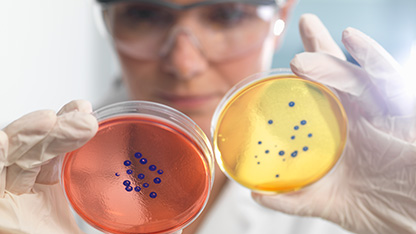 scientist examining samples