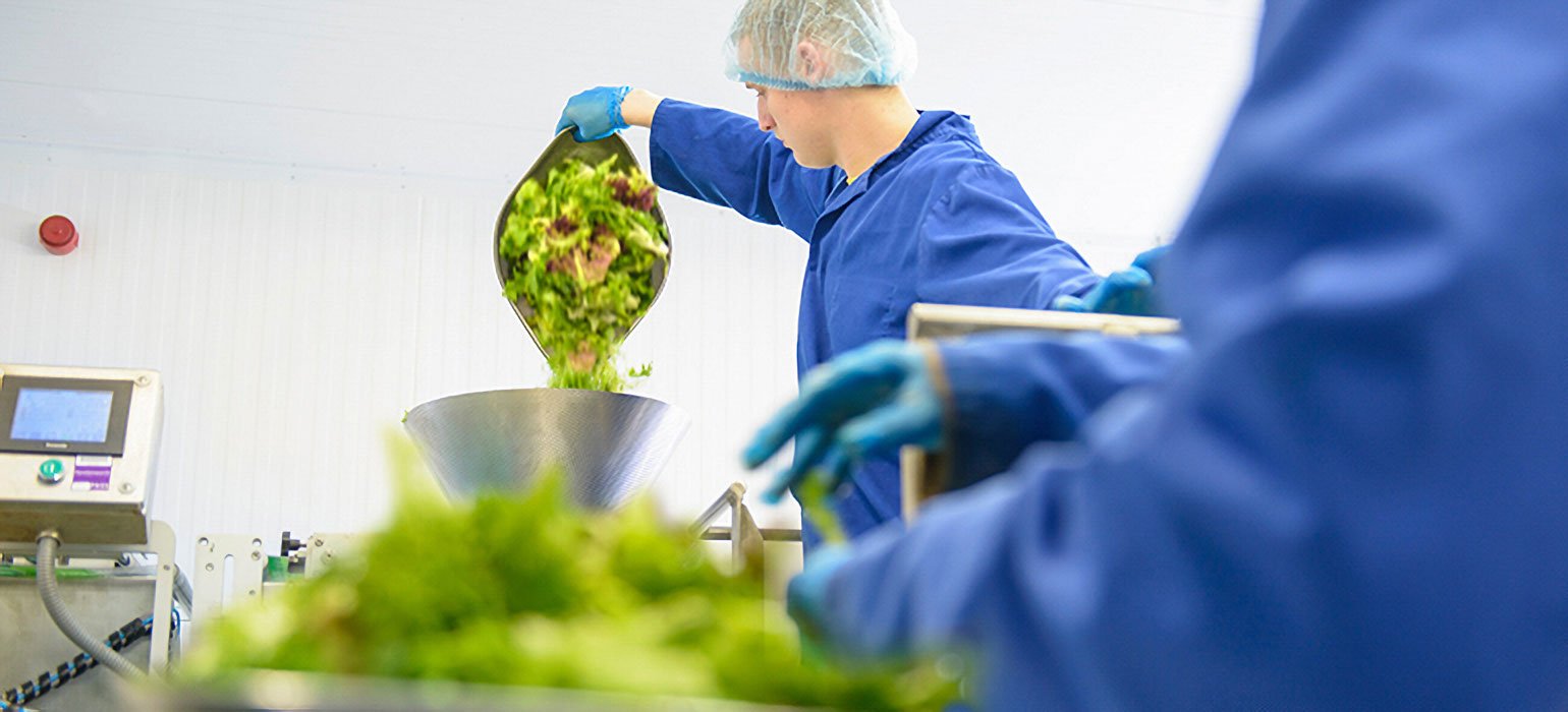 Workers in food processing facility