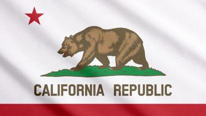 A depiction of the California Republic flag, featuring a resilient bear on a white background with red accents.